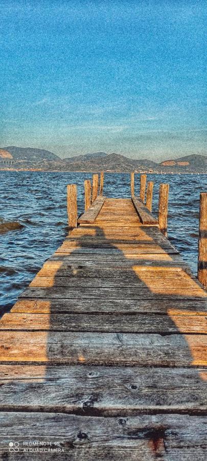 Casa Tonfoni Villa Torre del Lago Puccini Luaran gambar