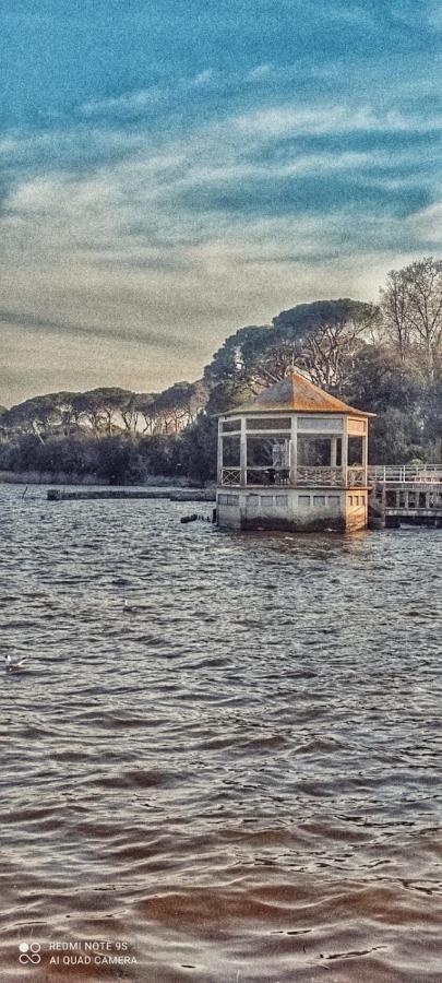 Casa Tonfoni Villa Torre del Lago Puccini Luaran gambar